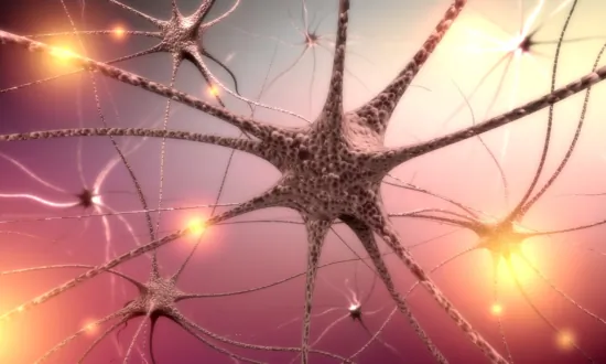 COVID-19 Vagus Nerve Inflammation May Lead to Dysautonomia: New Study