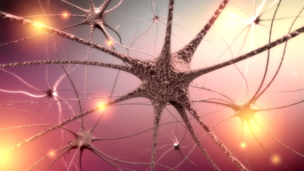 Unexpected Findings in Deceased COVID-19 Patients