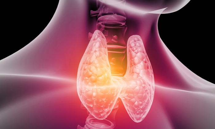 Deficiency of a Key Nutrient May Lead to Thyroid Dysfunction