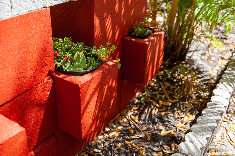Succulent Plants In Built-in Planter