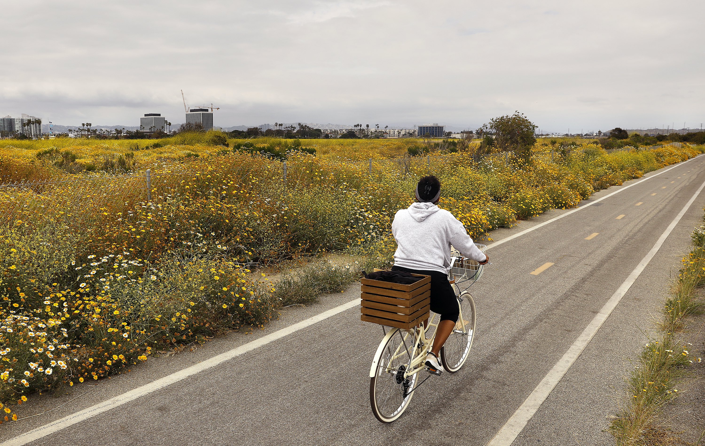 The Ballona Creek Bike Path