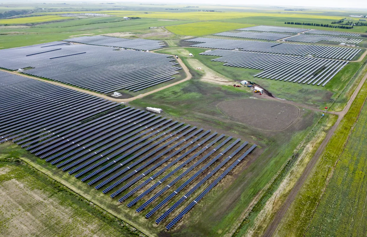 Solar panels near Drumheller, Alta., on July 11, 2023. (Jeff McIntosh/The Canadian Press)