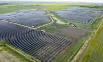 Limitations With Renewables: Alberta Premier