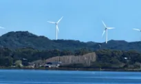 NSW Bar Opposes 3-Year Moratorium on ‘Greenwashing’ Lawsuits