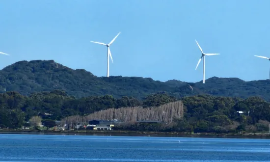 NSW Bar Opposes 3-Year Moratorium on ‘Greenwashing’ Lawsuits