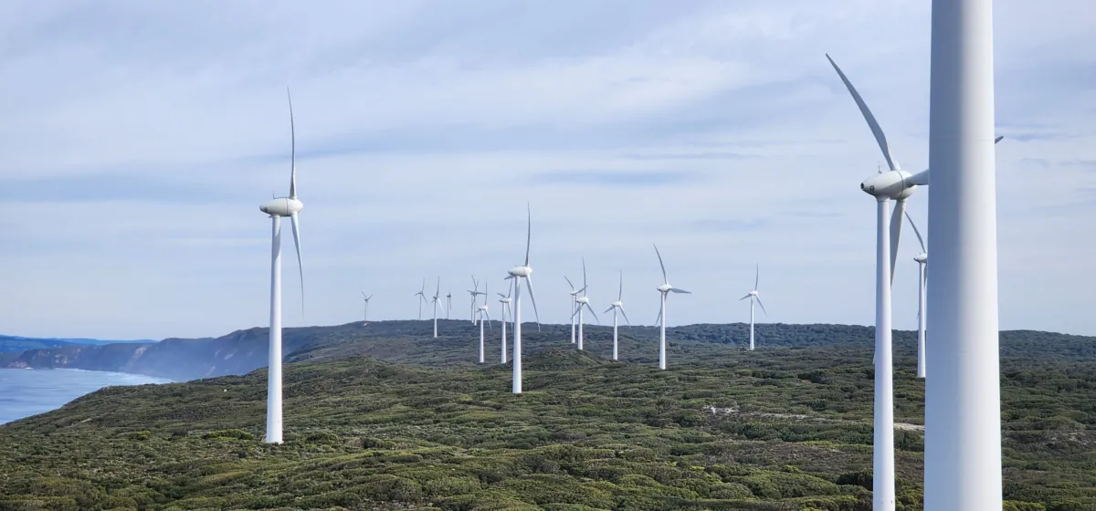 Wind turbines can be seen in Albany, Western Australia, on Aug 4, 2023. (Susan Mortimer/The Epoch Times)