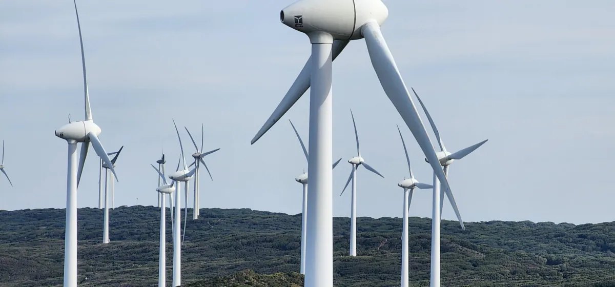 Wind turbines at the Albany Grasmere Wind Farm seen in Albany, Western Australia, on Aug. 4, 2023. (Susan Mortimer/The Epoch Times)
