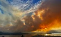 All Evacuation Orders Lifted Around Osoyoos, BC, as Wildfire No Longer Spreading