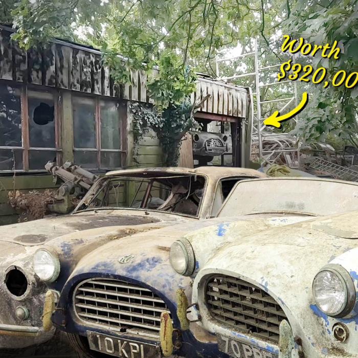 230+ Car Barn Find Discovered In Europe – And They're Now For Sale