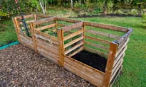 DIY Compost Saves Money
