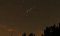 The Perseid Meteor Shower Peaks This Weekend and It’s Even Better This Year
