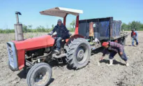 Steep Fines Levied on Employers Alleged to Have Breached Migrant Labour Rules: Report