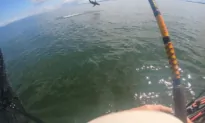 Nova Scotia Angler Hooks Juvenile Great White Shark and Story of a Lifetime
