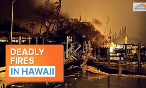 NTD Good Morning (Aug. 10): Deadly Fires Rage Across Hawaii; NIH Scientists Got $325M in Royalties From China, Russia: Report