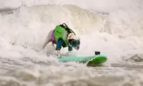 ‘Ruff’ Competition at the World Dog Surfing Championships