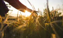 Your Connection to Nature