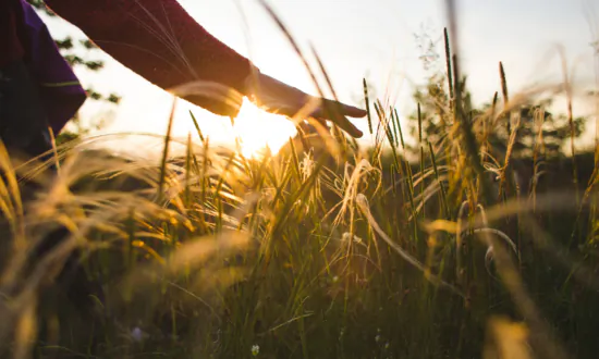 Your Connection to Nature