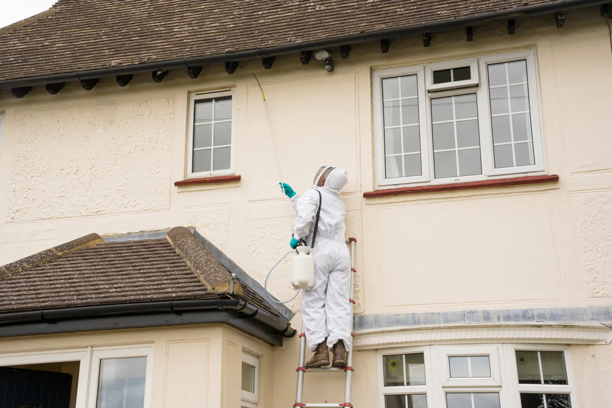 Certain pest treatments, such as wasp control, require specialized experience, equipment and licensing. (Dreamstime/TNS)