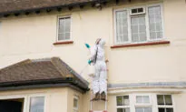 What Should I Ask When I Hire a Pest Control Service?