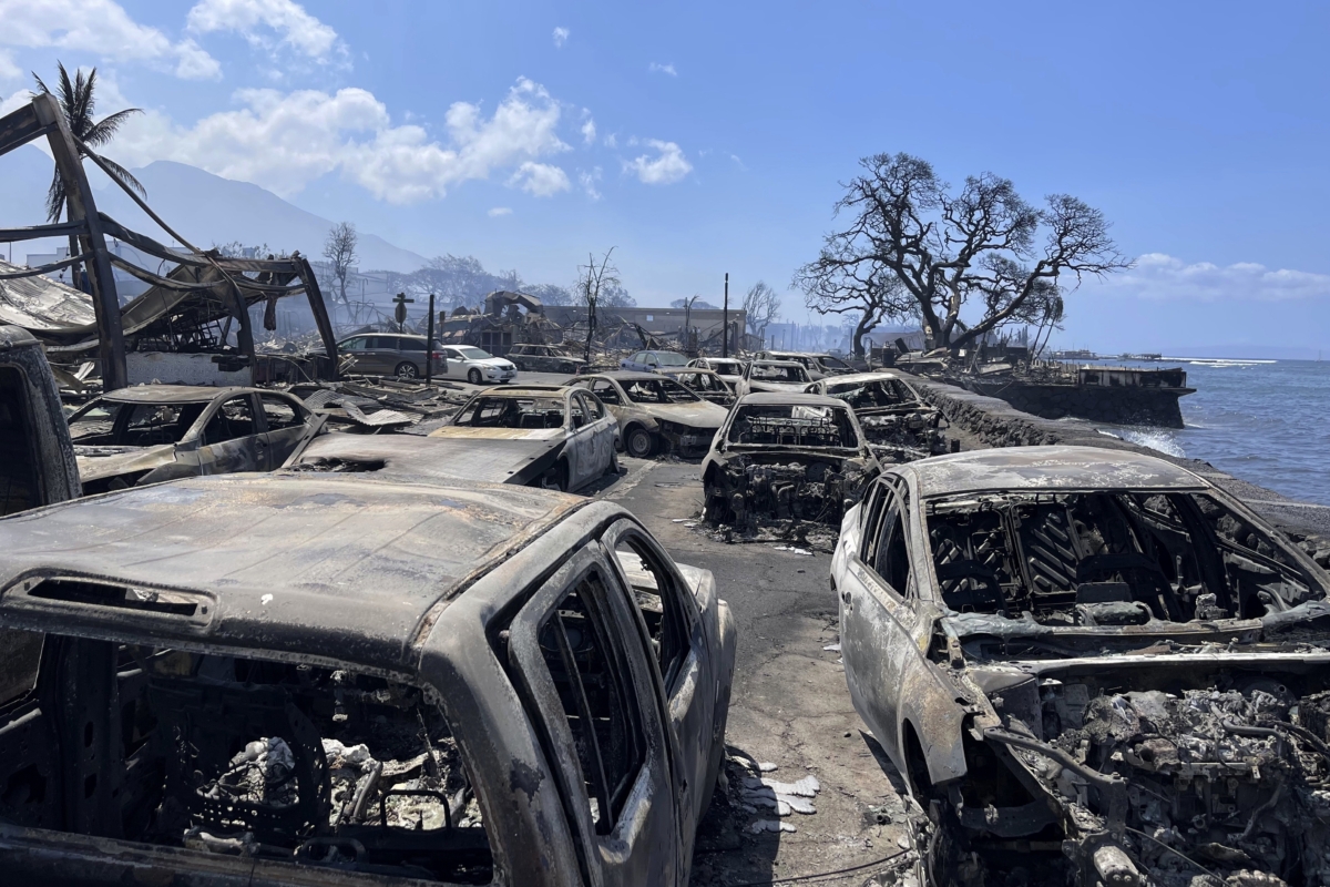 Hawaii wildfires