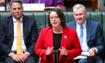 Australia, France to Jointly Study Critical Minerals Supply Chain