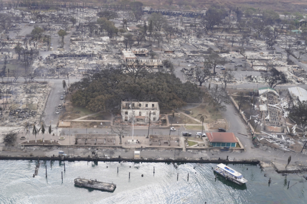 Hawaii Fires Banyan Tree