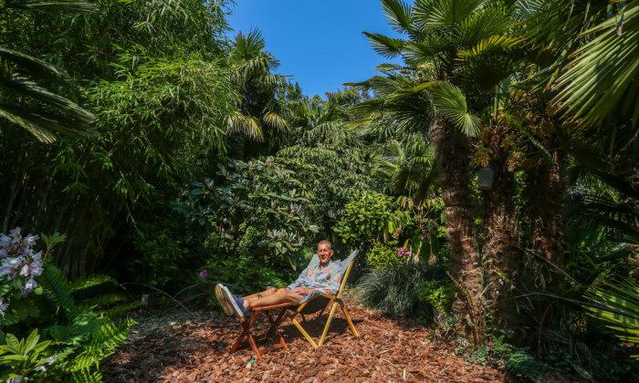 Dad of 3 Spends 35 Years Nurturing His 'Jungle' Back Garden: 'It's a Very Tropical Atmosphere'