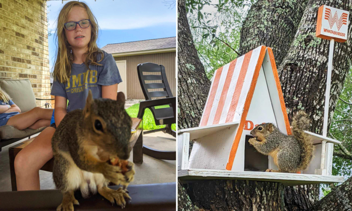 Texas Teen and Her Dad Build Cute 'Whataburger' Treehouse for Orphaned Squirrel: 'She Definitely Has a Heart for Animals'