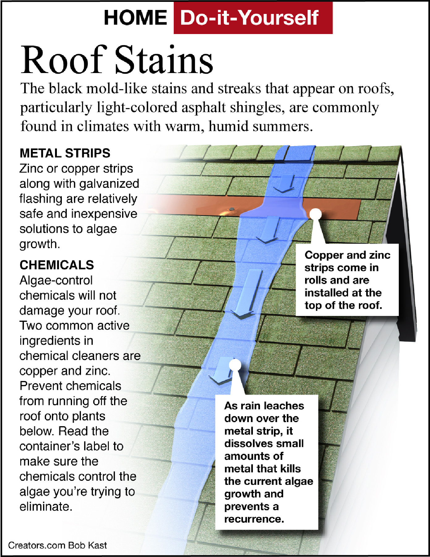 roof stains tip sheet