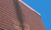 Stop Stains From Forming on Your Roof