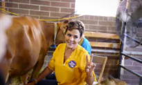 Kari Lake Steals the Show at Iowa State Fair: Milking Cows and Eyeing Senate Race