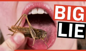 The One Globalist Lie Destroying Our Food System | Facts Matter