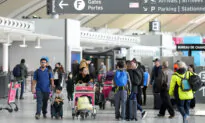 Toronto Pearson Airport Sees Passenger Volume Rise by Nearly Half: Report