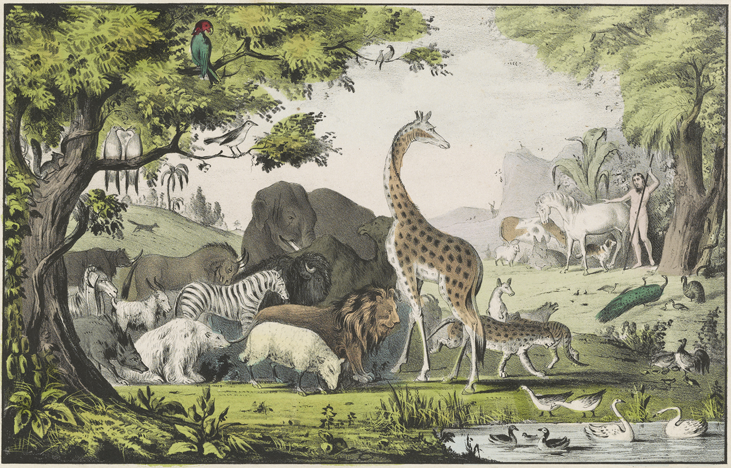 Adam Naming The Animals