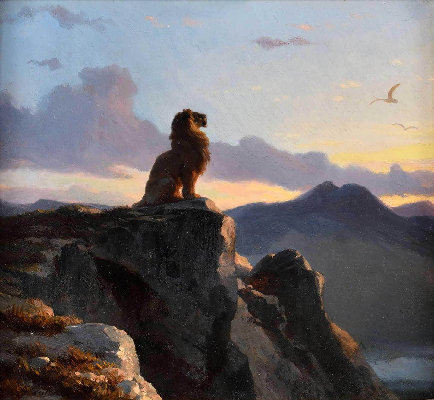 Lion sitting on the edge of a cliff.