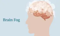 Brain Fog: Symptoms, Causes, Treatments, and Natural Approaches