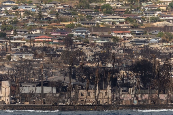 maui wildfires