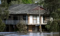 Old Data Sinks Hopes of Levee Verdict in Flood Findings