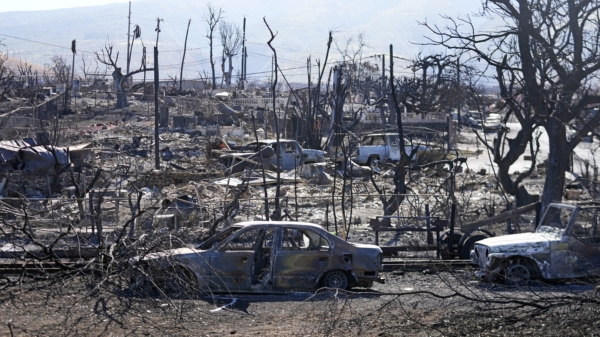 Maui wildfire damage