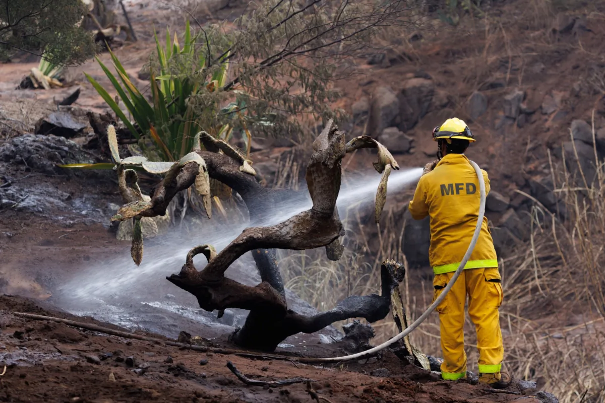 A Maui County firefighter fights flare-up fires in a canyon in Kula on Maui island, Hawaii, on Aug. 13, 2023. (Mike Blake/Reuters)