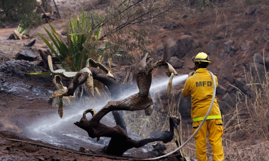 EPA starts tough job removing toxins from fire-ravaged Maui.