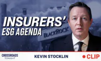 Insurance Companies Flee UN Climate Club as Antitrust Investigations Over ESG Ramp Up: Kevin Stocklin