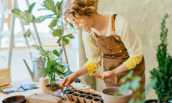 Beginner’s Guide to Indoor Gardening