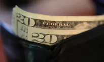 The Sly Economics of Government Union Activism