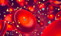 A Simple Sitting Exercise Helps Reduce Blood Sugar and Lipid Levels 