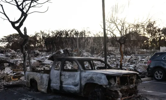 Southern California Groups Line up to Help Maui Victims From Afar