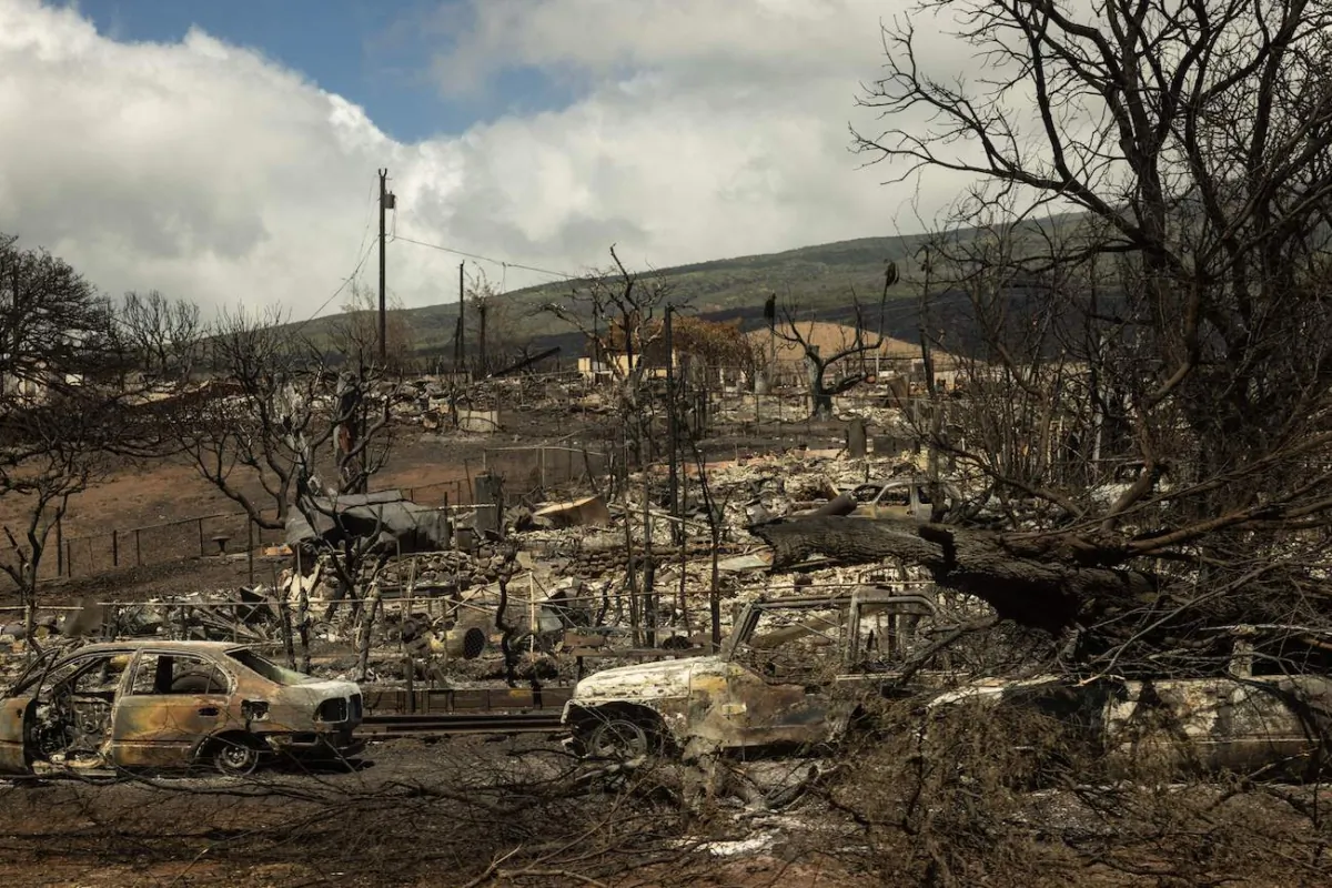 Carcasses of cars are seen among the ashes of burnt neighborhood in the aftermath of a wildfire, in Lahaina, western Maui, Hawaii on Aug. 14, 2023. (Yuki Iwamura/AFP via Getty Images)
