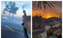 Videos Put Scrutiny on Downed Power Lines as Possible Cause of Deadly Maui Wildfires