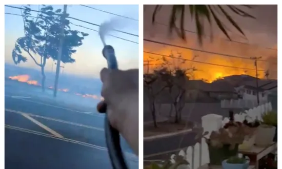 Videos Put Scrutiny on Downed Power Lines as Possible Cause of Deadly Maui Wildfires