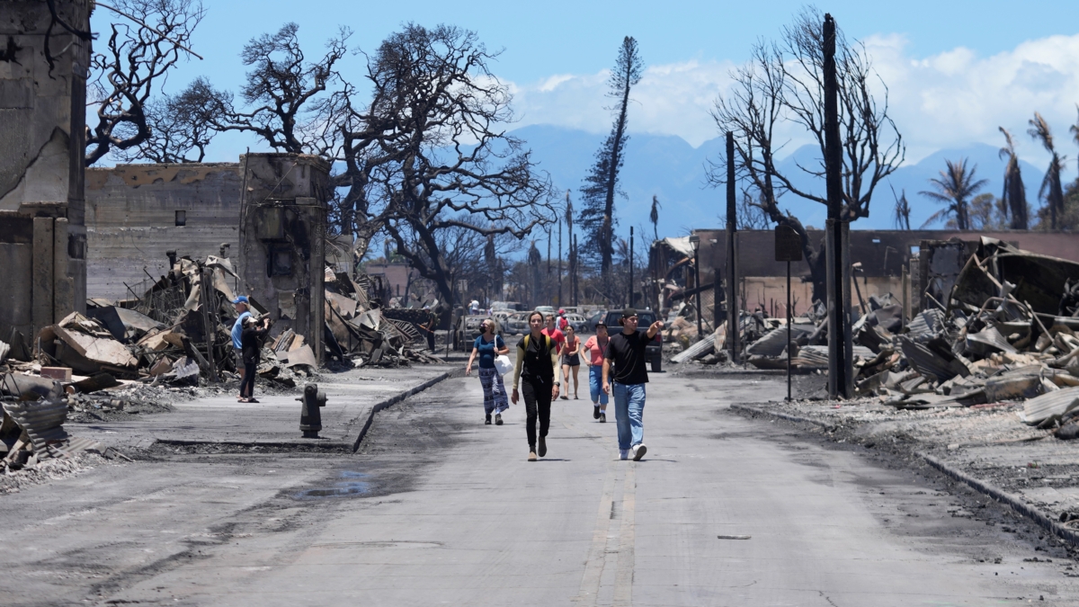 Wildfire Damage City In Hawaii